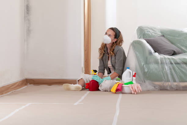 Reliable Mold Cleanup contractor in Oak Park, MI by WQB Mold Removal